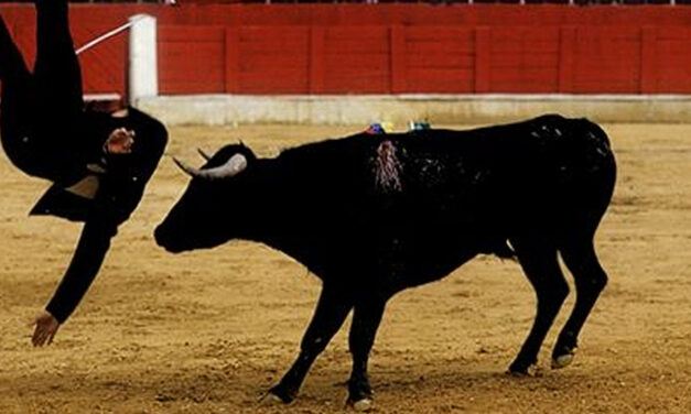 URGE EU TO STOP SUBSIDISING BULLFIGHT