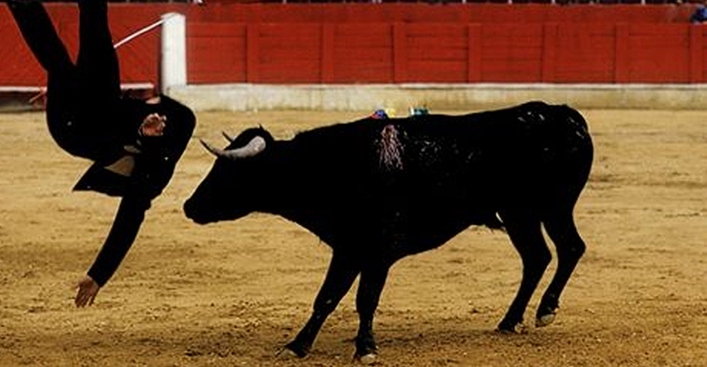 Bullfight and festivals