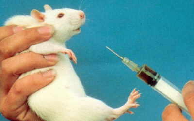 OIPA JOINS THE INTERNATIONAL INITIATIVE  “STOP VIVISECTION”: SIGN THE ONLINE PETITION!