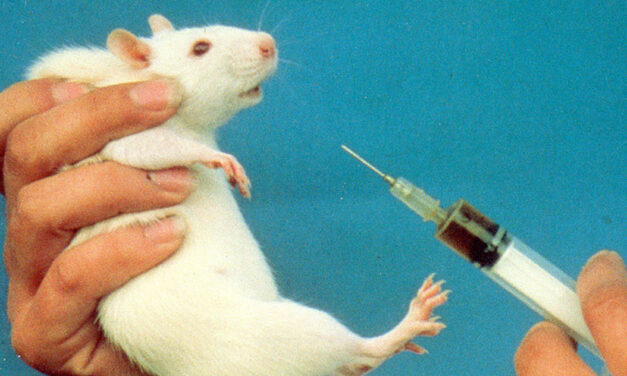 OIPA JOINS THE INTERNATIONAL INITIATIVE  “STOP VIVISECTION”: SIGN THE ONLINE PETITION!