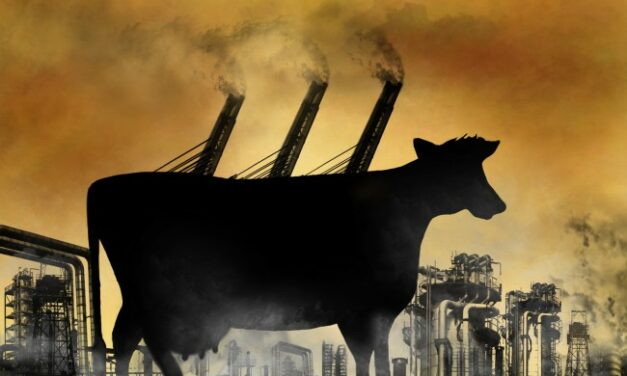 REDUCING MEAT CONSUMPTION TO TACKLE CLIMATE CHANGE – WHY THE MEDIA DON’T TALK ABOUT THIS ISSUE