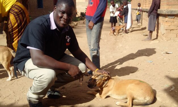 8th May – CHRONICLES FROM MALAWI, THE COUNTRY IS TRYING TO TACKLE THE RABIES SPREAD