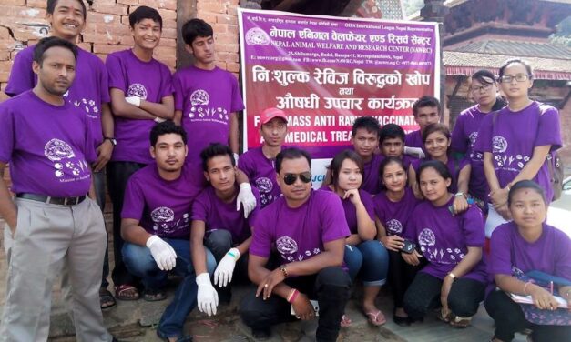 OIPA NEPAL – FIGHTING TO END RITUAL SACRIFICES AND RESCUE STRAY ANIMALS!