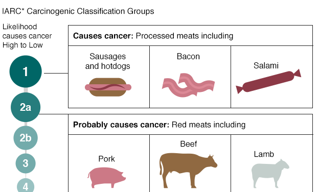 MEAT AND CANCER, FINALLY THE TRUTH