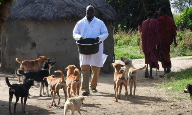 OIPA TANZANIA AND THE RABIES VACCINATION CAMPAIGN