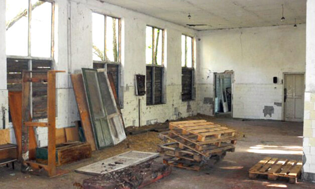 THE WORKS FOR THE VETERINARY CLINIC, AT THE GORLOVKA SHELTER FOR STRAY ANIMALS IN UKRAINE, ARE IN PROGRESS