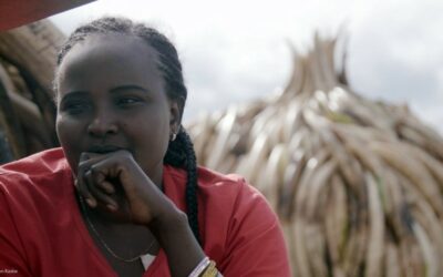 KENYA – WHEN A 26 YEARS OLD GIRL FIGHTS THE POACHERS AND WINS!