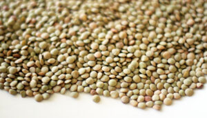 lentils1