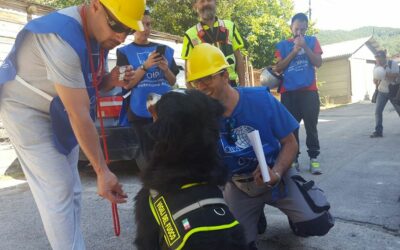 31st August – OIPA VOLUNTEERS SUPPORT THE RESCUING OPERATIONS AFTER THE EARTHQUAKE – COMMITMENT, DEDICATION AND SOLIDARITY