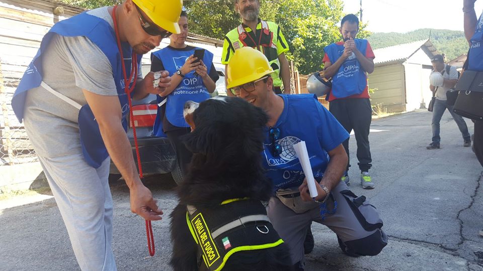 31st August – OIPA VOLUNTEERS SUPPORT THE RESCUING OPERATIONS AFTER THE EARTHQUAKE – COMMITMENT, DEDICATION AND SOLIDARITY
