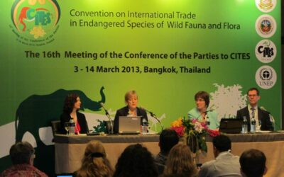 THE CITES (COP17) CONFERENCE WILL BE RUNNING FROM SEPTEMBER 24TH TO OCTOBER 5TH