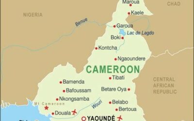 OIPA PROMOTING ENVIRONMENTAL PROTECTION THROUGH ORGANIC FARMING  IN  CAMEROON