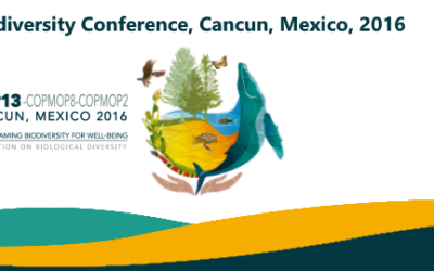 EXPERTS HOLD FORUM ON BUSINESS AND BIODIVERSITY IN COP13 IN CANCUN