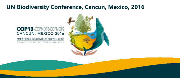 EXPERTS HOLD FORUM ON BUSINESS AND BIODIVERSITY IN COP13 IN CANCUN