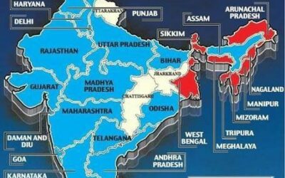 ON 4TH JUNE 2017, MR. NARESH, REPRESENTATIVE OIPA INDIA STARTED A PETITION TO BAN COWS SLAUGHTER ACROSS INDIA