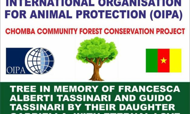 LAUNCHING OF THE “CHOMBA COMMUNITY FOREST CONSERVATION PROJECT” IN THE NORTHWEST REGION OF CAMEROON