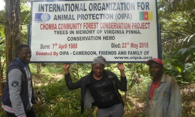 Virginia’s Dream – Forest Conservation Project in Cameroon