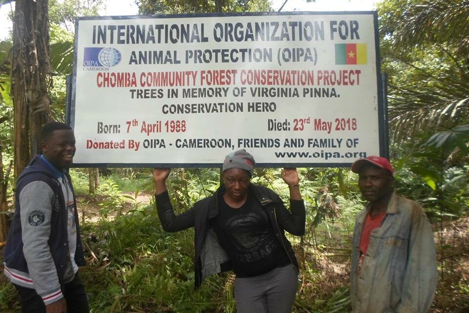 Virginia’s Dream – Forest Conservation Project in Cameroon