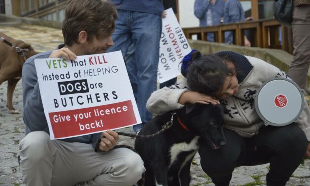 Kosovar and Albanian animal rights activist united against mass killings of stray dogs in their countries