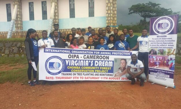 OIPA CAMEROON: TRAINING ON TREE PLANTING AND A NEW OFFICE