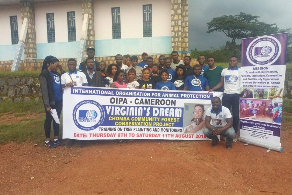 OIPA CAMEROON: TRAINING ON TREE PLANTING AND A NEW OFFICE