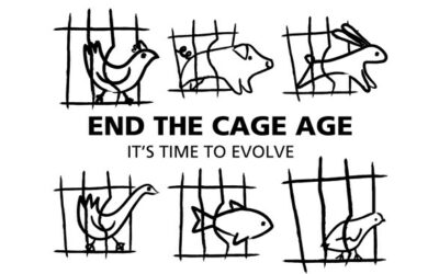 END THE CAGE AGE – NO MORE ANIMALS IN CAGES