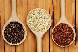 QUINOA, THE MOTHER OF ALL GRAINS
