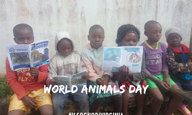 OIPA Cameroon creates the first primary school animal welfare club in the Western Region of Cameroon on World Animal Day