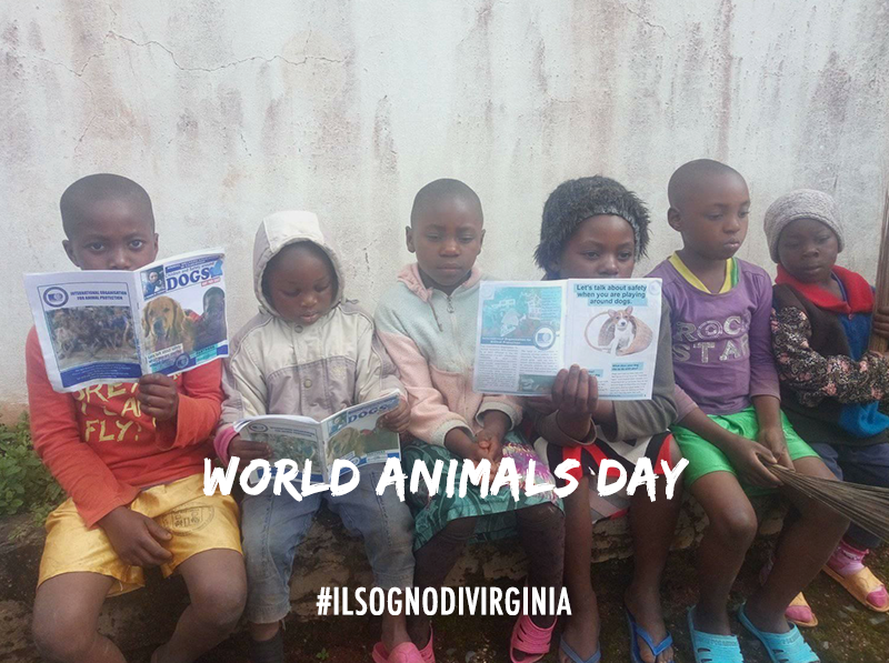 OIPA Cameroon creates the first primary school animal welfare club in the Western Region of Cameroon on World Animal Day