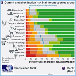 1 MILLION SPECIES THREATENED WITH EXTINCTION, IPBES WARNS