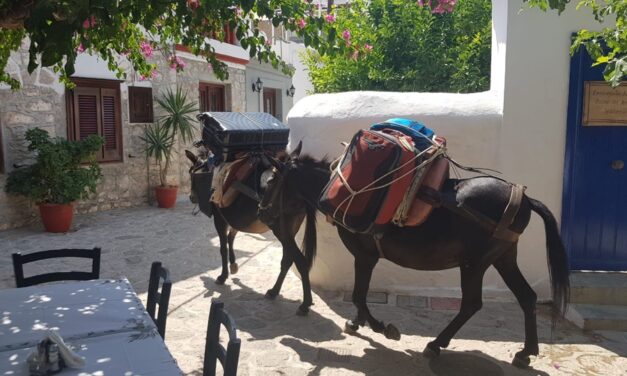 THE UGLY SIDE OF GREEK ISLANDS – DONKEYS USED AS TAXIS FOR LAZY AND OVERWEIGHT TOURISTS