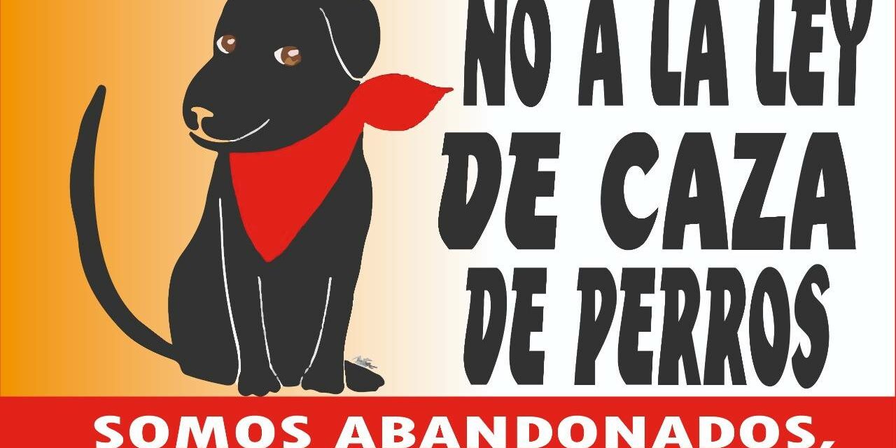 DOG HUNTING BILL DEBATED IN CHILEAN PARLIAMENT: OIPA CHILE PROTESTS