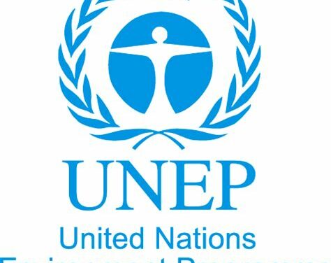 OIPA HAS SUCCESSFULLY BEEN ACCREDITED TO UNEP, THE UNITED NATIONS ENVIRONMENT PROGRAMME