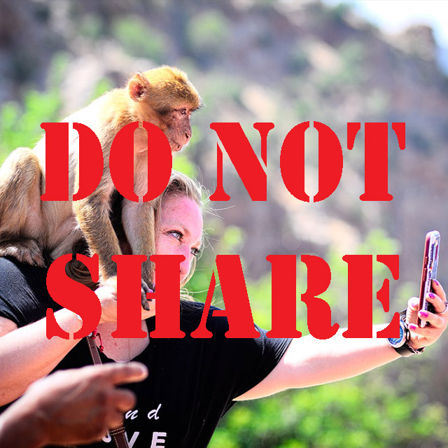 HOW SHARING VIDEOS AND PHOTOS OF WILD ANIMALS INTERACTING WITH PEOPLE IS PUTTING THEM IN DANGER – PART 2