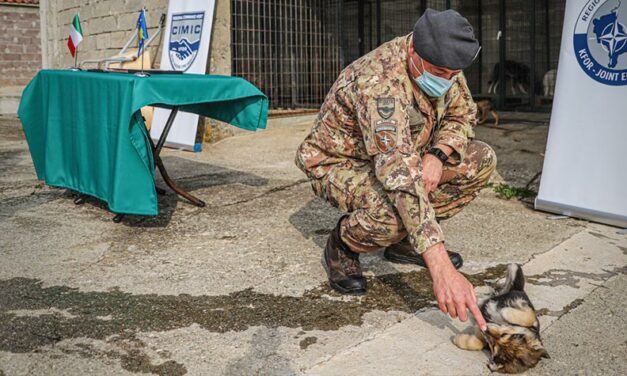 KOSOVO, THE ITALIAN ARMY “DEPLOYED” TO HELP STRAYS IN DECANI AND JUNIK: DONATIONS FOR NEUTERING AND VACCINATIONS. OIPA INTERNATIONAL WILL SUPPORT THE PROJECT