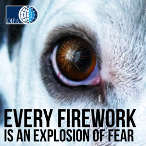 are fireworks harmful to dogs