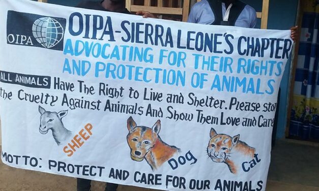 A NEW CHAPTER BEGINS: “PROTECTION AND CARE FOR OUR ANIMALS” THANKS TO OIPA SIERRA LEONE