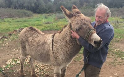 A MAN IN DIFFICULTY AND HIS INSEPARABLE COMPANION ANIMALS, OIPA CORSICA VOLUNTEERS LEND A HELPING HAND