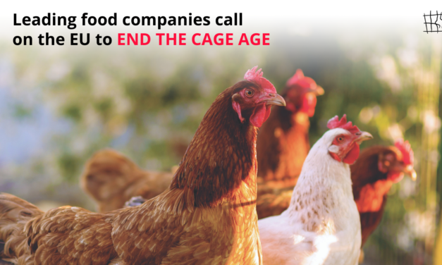 LEADING FOOD COMPANIES CALL ON THE EU TO END THE CAGE AGE