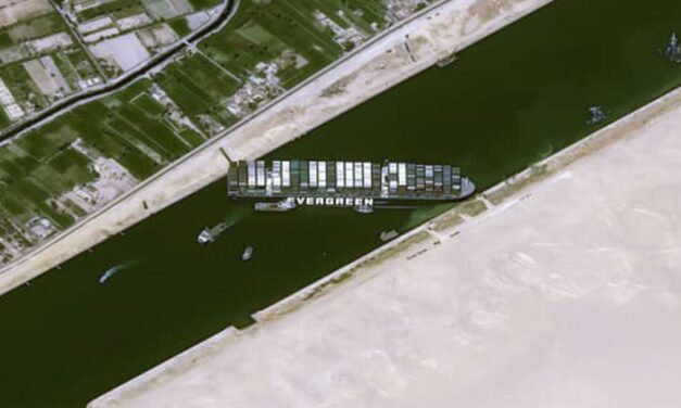 EGYPT’S SUEZ CANAL BLOCKED: CONCERNS FOR ANIMALS AT SEA ON LIVESTOCK VESSELS