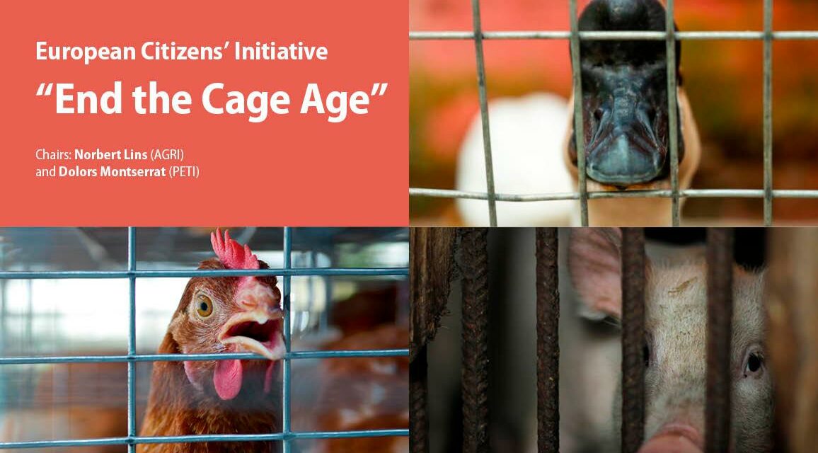 END THE CAGE AGE: A PUBLIC HEARING ON THE EUROPEAN CITIZIENS’ INITIATIVE TO END KEEPING FARMED ANIMALS IN CAGES