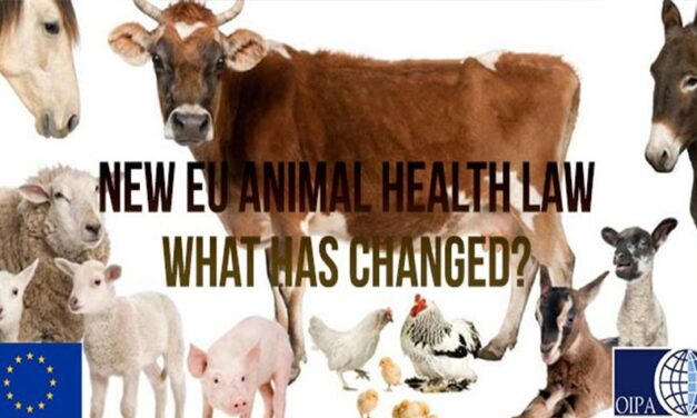 NEW EU ANIMAL HEALTH LAW: WHAT HAS CHANGED AND WHAT DOES THIS MEAN?