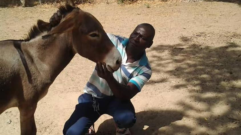 A CAMPAIGN TO ENCOURAGE GOOD CARE OF DONKEYS IN CAMEROON