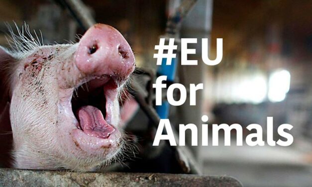 OIPA IS PARTNER OF THE CAMPAIGN #EUFORANIMALS. WE DEMAND A EU COMMISSIONER FOR ANIMAL WELFARE TO GUARANTEE ANIMALS MORE RIGHTS