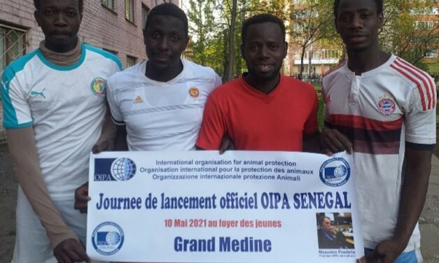 GREAT SUCCESS FOR THE LAUNCH OF OIPA SENEGAL. ANIMALS WILL NOW RELY ON A BETTER PROTECTION