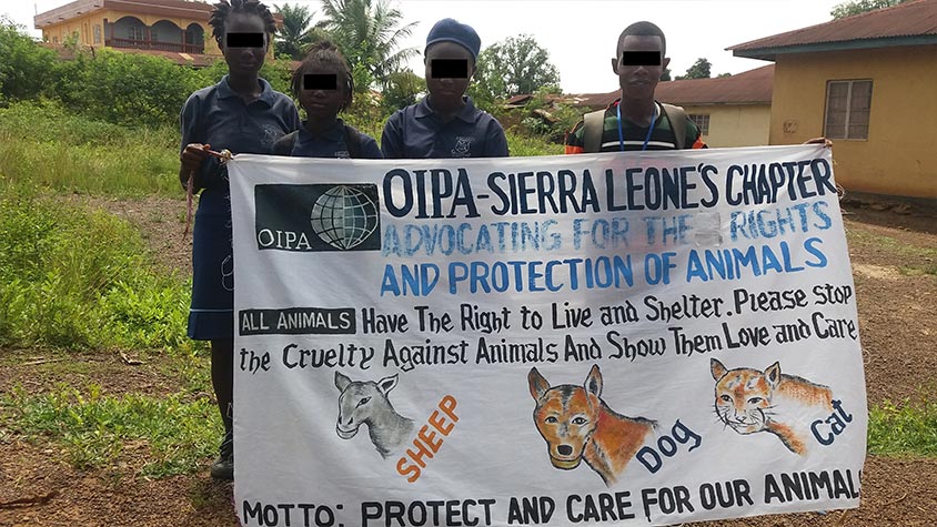 OIPA SIERRA LEONE CONTINUES ITS ANIMAL AWARENESS ACTIVITES AND RESCUE OPERATIONS