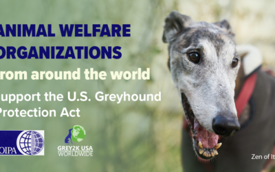 THE GLOBAL GREYHOUND COALITION, LED BY OIPA INTERNATIONAL, SENT A LETTER TO THE U.S. CONGRESS IN SUPPORT OF THE GREYHOUND PROTECTION ACT (H.R. 3335)