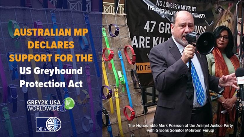 UPDATE ON THE US GREYHOUND PROTECTION ACT – AUSTRALIAN MP DECLARES PUBLICLY HIS SUPPORT