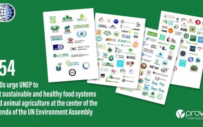154 NGOs ASK UNEA AND UNEP TO ENCOURAGE A PLANT-DIETARY SHIFT TO CURB ENVIRONMENTAL AND CLIMATE DESTRUCTION