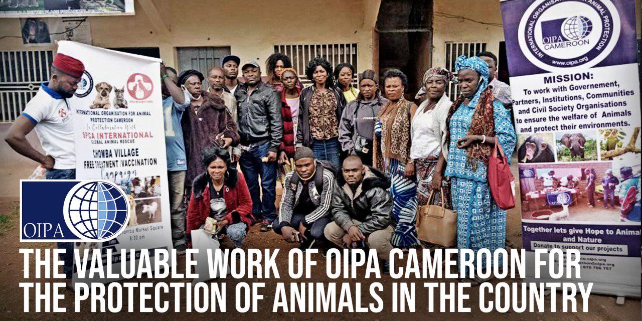 OIPA INTERNATIONAL AND ITS MEMBER LEAGUE ATRA WILL SUPPORT THE MOBILE VET CLINIC OF OIPA CAMEROON